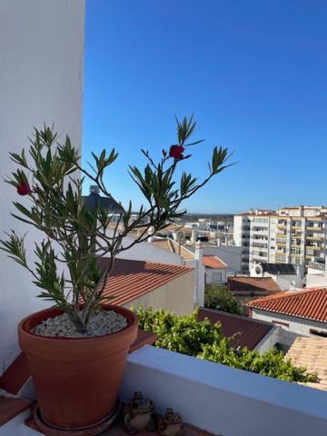 Casa Alegria - Ocean View Apartment - Centre Lagos Ngoại thất bức ảnh